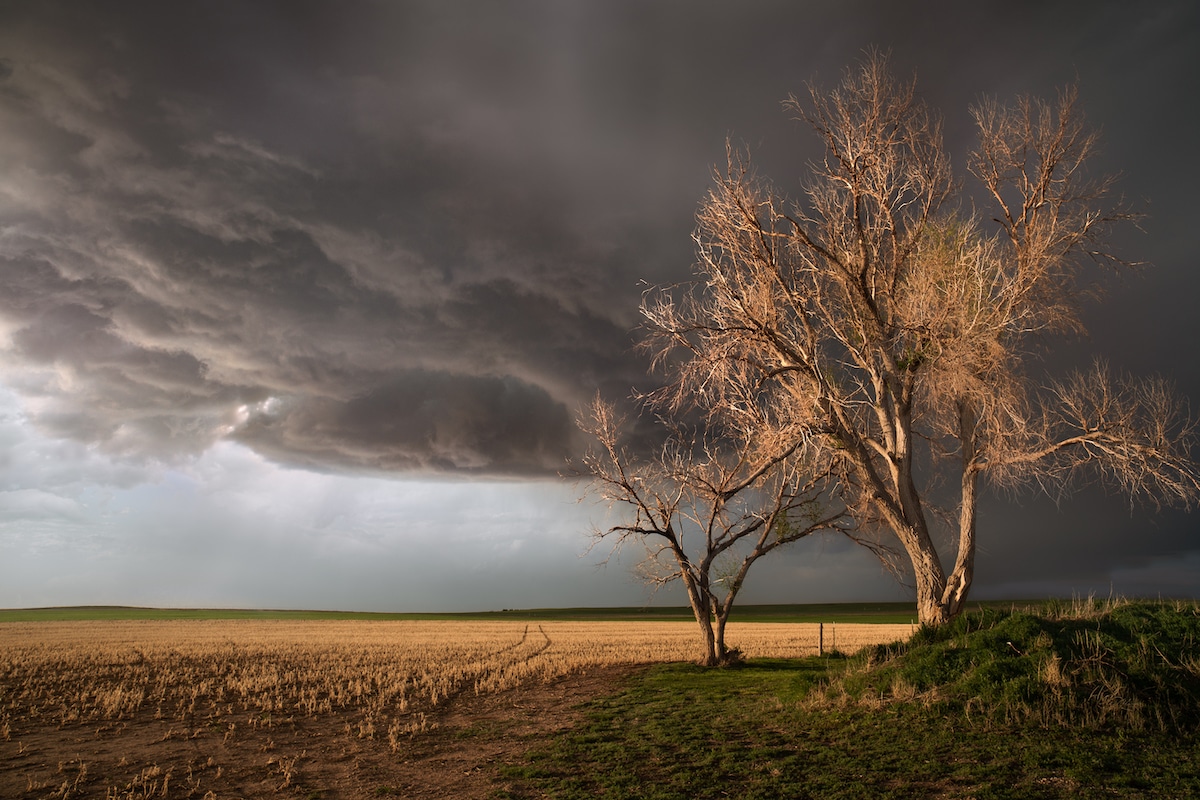 Yılın En İyi Fırtına Fotoğrafları