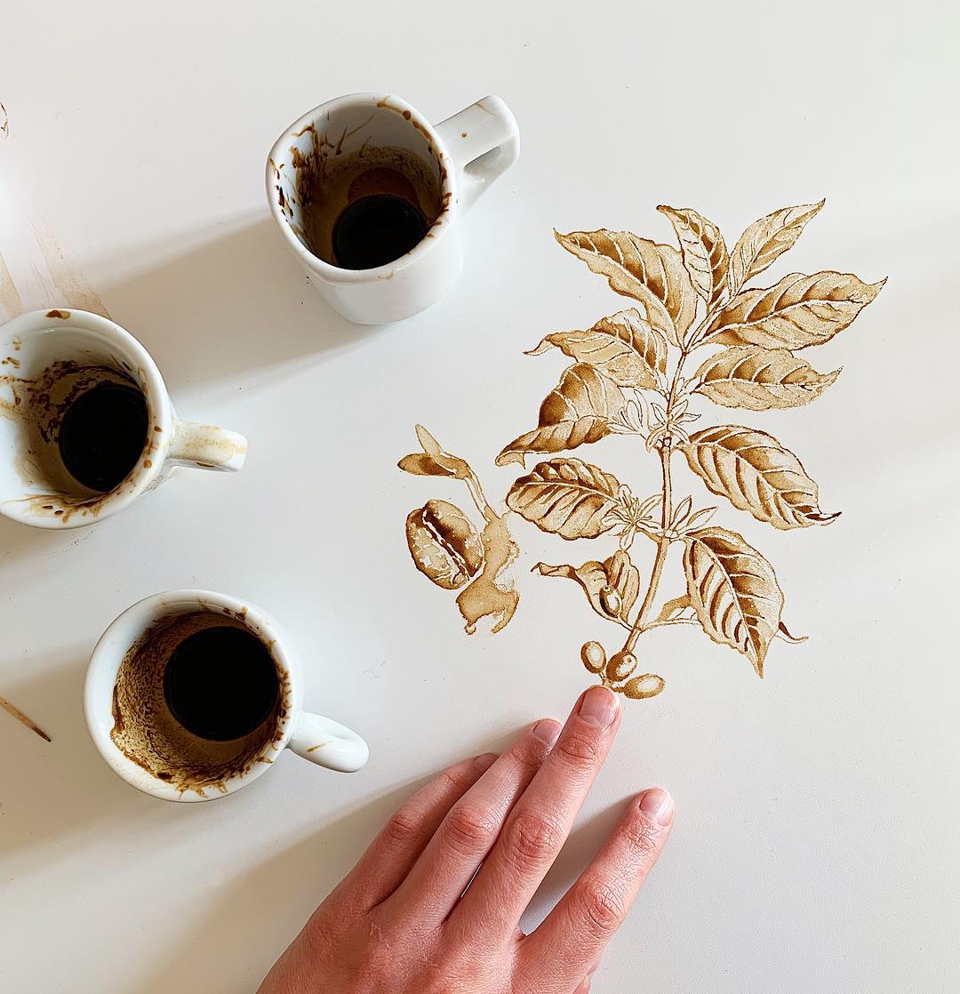 Мастер класс по кофе. Кофейные иллюстрации Giulia Bernardelli. Рисование кофем.