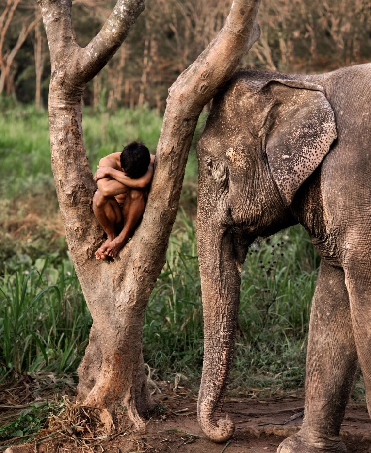 McCurry'nin Bağı: İnsanlar ve Hayvanlar