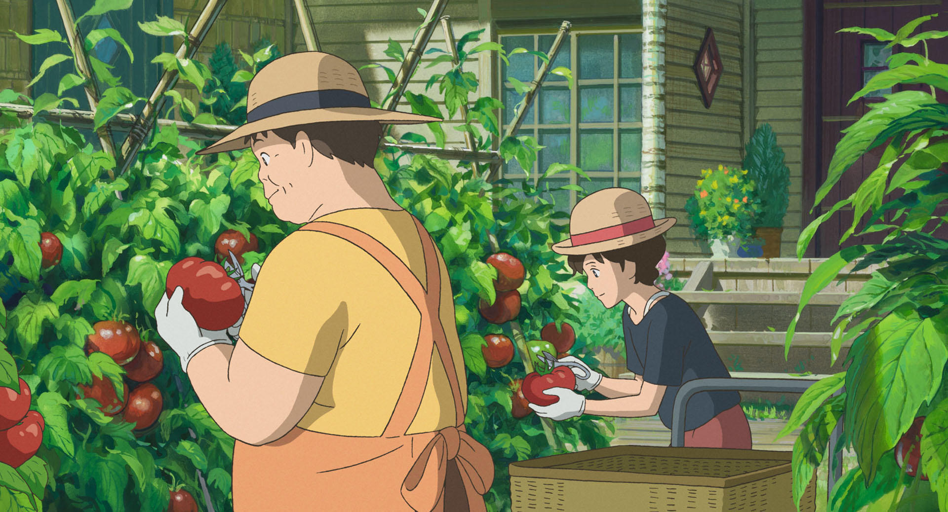 Музыка гибли. Ghibli food Compilation 🍅 | source: Douyin. Ghibli food.