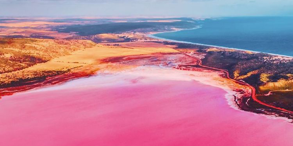 Avustralya'daki Pembe Lagünün Güzelliği
