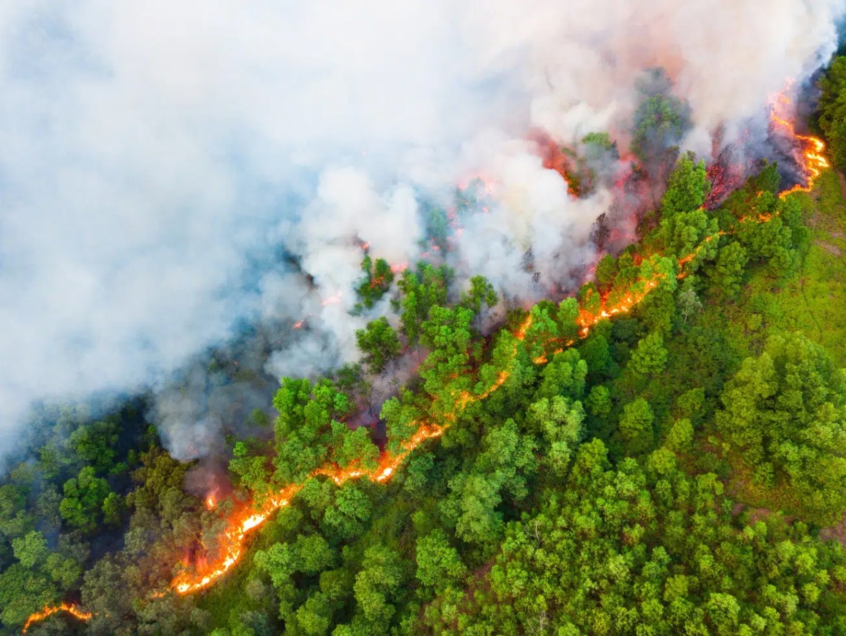 Royal Meteorological Society'den 10. Yıla Özel Hava Fotoğrafçılığı Yarışması