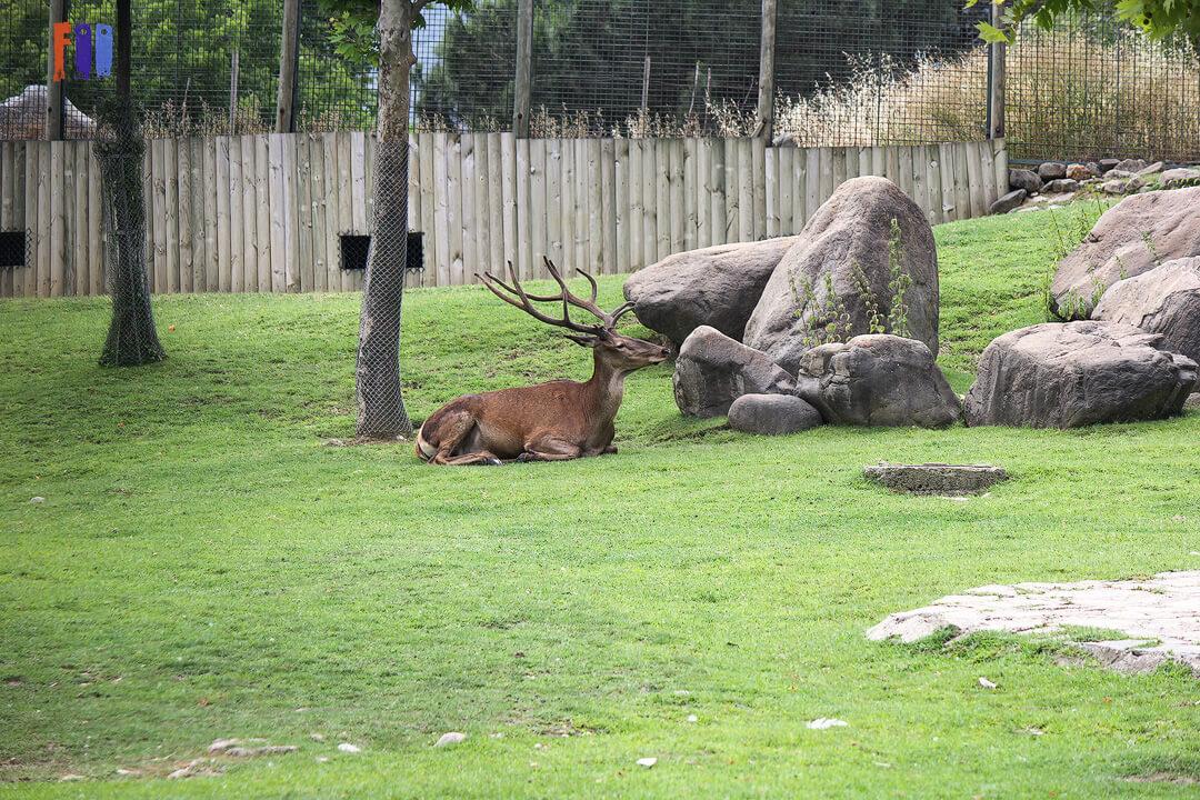 Bursa Hayvanat Bahçesi