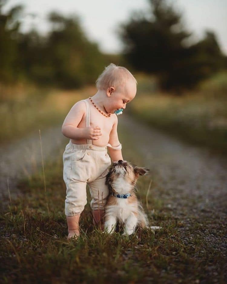 Çocuklar ve Hayvanlar Arasındaki Dostluk