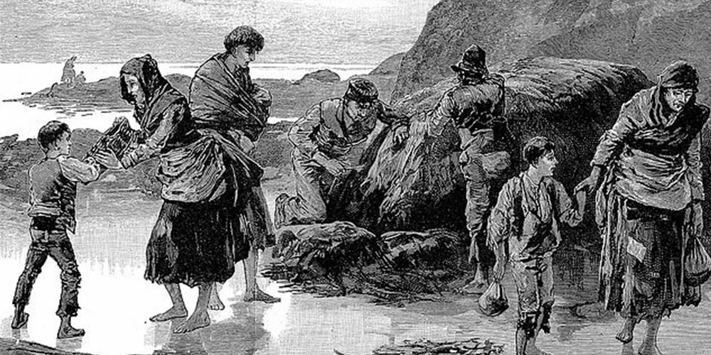 1845 İrlanda Patates Kıtlığı
