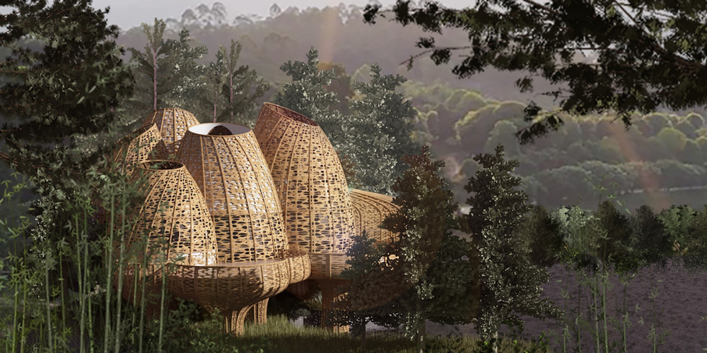 Bambu Sepetine Benzeyen Ağaç Evler