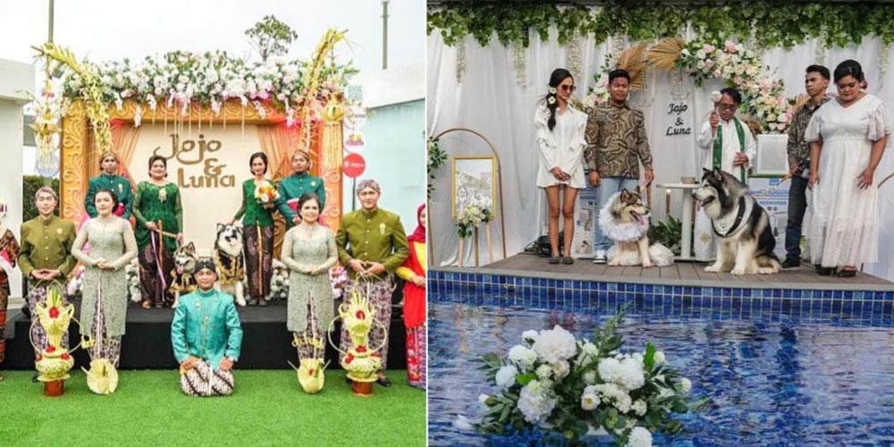 Endonezya'da Köpek Düğünü