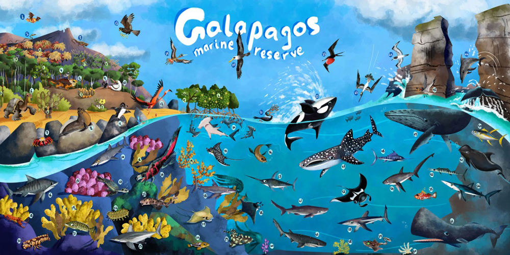 Galapagos Deniz Koruma Alanı Büyüyor