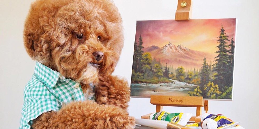 Köpeklerin Bob Ross'u