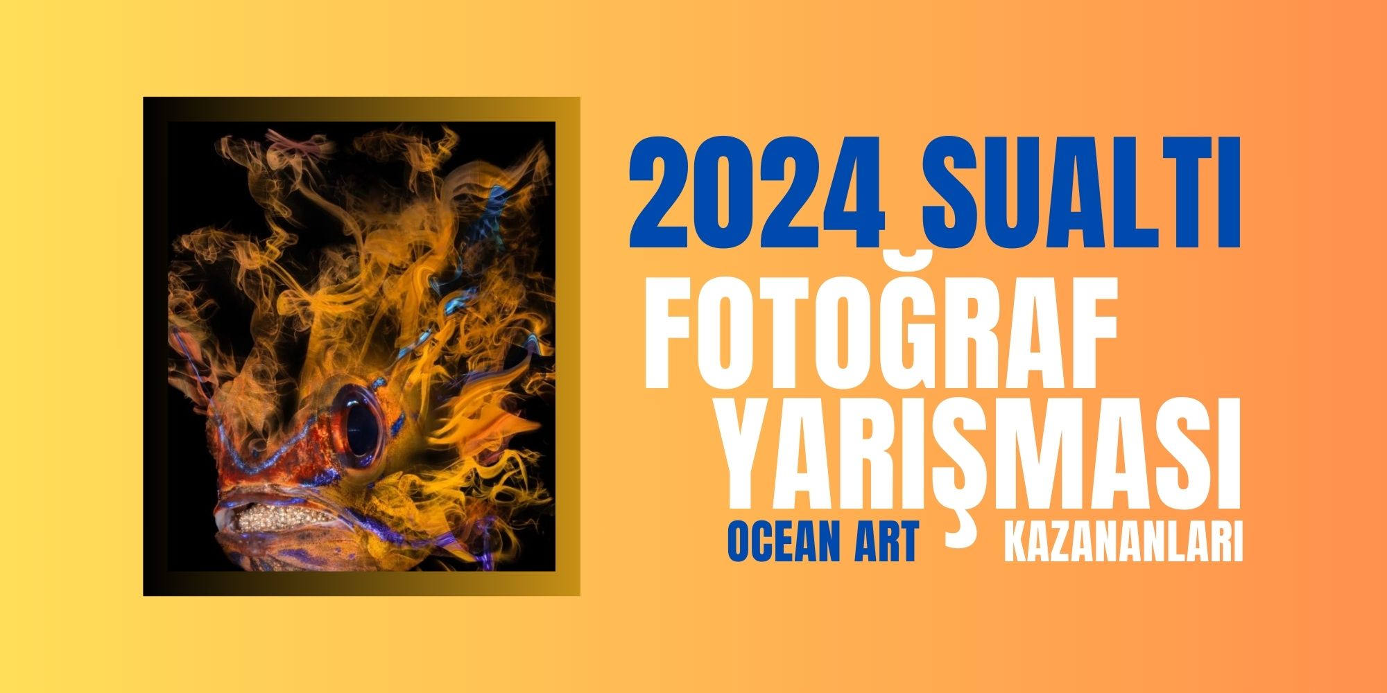 Ocean Art 2024 Sualtı Fotoğraf Yarışmasının İnanılmaz Kazananları